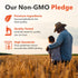 Infographic of our Non-GMO Pledge: Premium ingredients, quality tested, and high standards ensure accurate Non-GMO labeling.
