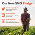 Infographic stating our Non-GMO Pledge, use of premium ingredients, quality testing, and high standards for Non-GMO labeling.
