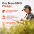 Infographic: Non-GMO Pledge: Premium Ingredients, globally sourced; Quality Tested; High Standards for accurate Non-GMO labeling.