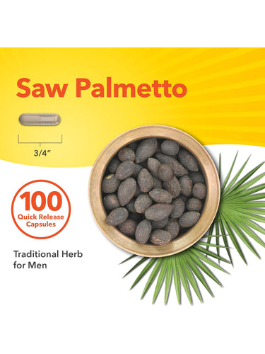 Saw Palmetto 100 Quick Release Capsules with 3/4 inch capsules, raw berries, and palm fronds. Traditional herb for men.
