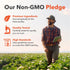 Infographic stating Our Non-GMO Pledge: Premium Ingredients, globally sourced. Quality Tested. High Standards for accurate labeling.